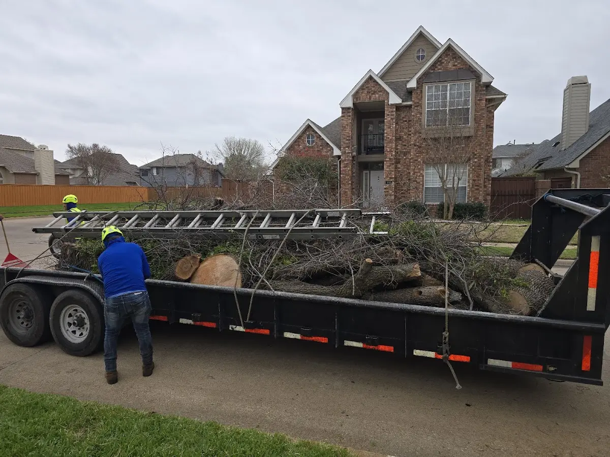Expert Tree Pest Control with proper safety equipment in Merrillville